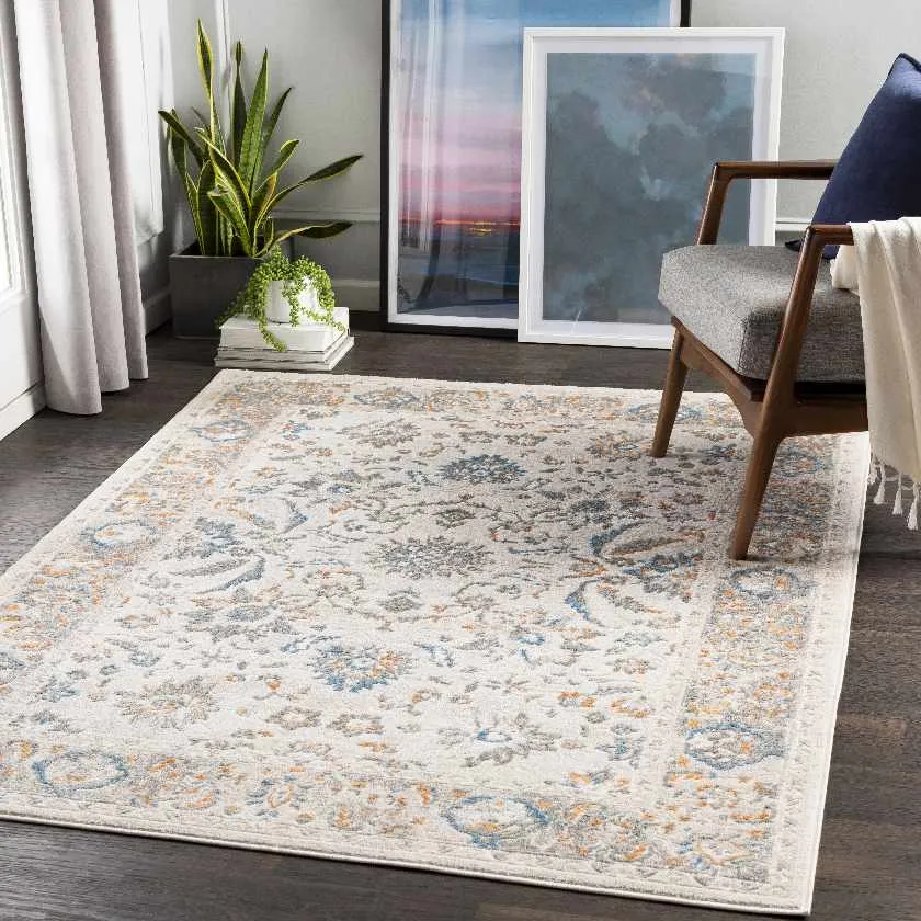 Gava Updated Traditional Area Rug